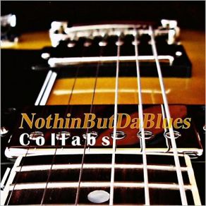 Download track Funky Minor Blues NothinbutdabluesTom Adams