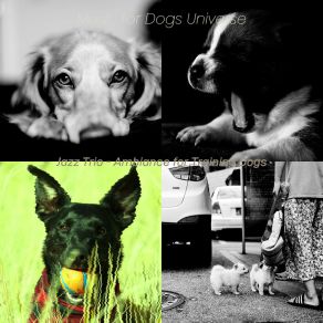 Download track Spacious Ambience For Lonely Dogs Music For Dogs Universe