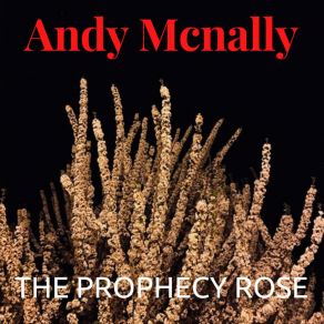 Download track Turn To Red Andy McNally