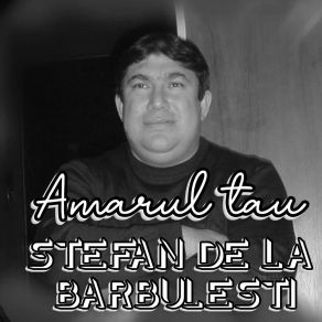 Download track Guvernatorul Banilor Si Cosmarul Dusmanilor Stefan De La Barbulesti