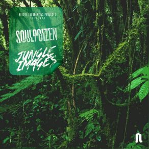 Download track Jungle Visions (Original Mix) SoulPoizen