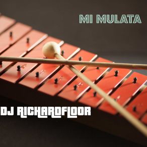 Download track Mi Mulata Dj Richardfloor