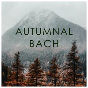 Download track Aria Mit 30 Veränderungen, BWV 988 