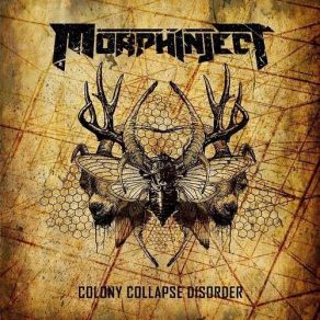 Download track Fall Of Man Morphinject