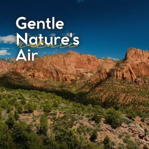 Download track Nature Ambient Sounds For Relaxation, Pt. 30 Zen Garden Secrets