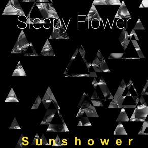 Download track Toffer Sleepy Flower