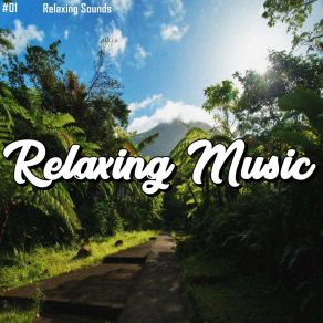 Download track Meditation Entspannende Schwingungen MusicoterapiaTeam