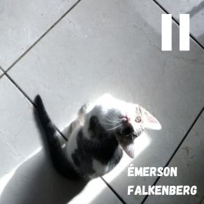 Download track Quero Vê-La De Novo Émerson Falkenberg