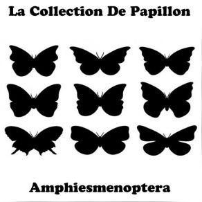 Download track Le Declin Du Jour La Collection De Papillon