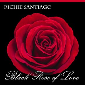 Download track Hooked On You (Radio Edit) Richie Santiago