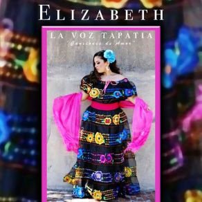 Download track Si Nos Dejan Elizabeth 