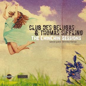 Download track Pain Is Temporary (Swing Mix) Club Des Belugas Thomas Siffling