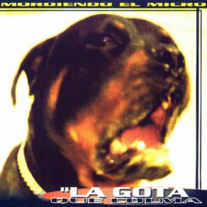 Download track Intenso La Gota Que Colma