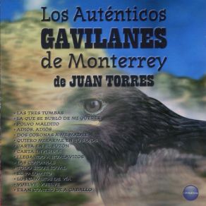 Download track Los Cambios De Vía Los Auténticos Gavilanes De Monterrey De Juan Torres