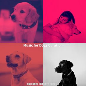 Download track Background For Cute Puppies Music For Dogs Curation