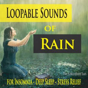 Download track Soft Rain Hitting The Wet Ground The Kokorebee Sun