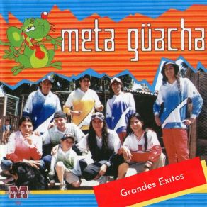 Download track Como Yo Te Llore Meta Guacha