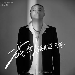 Download track 成年人都没有避风港 耿云龙