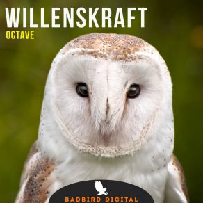 Download track Octave Willenskraft