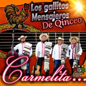 Download track Tsitsiki Sapichu Los Gallitos Mensajeros De Qinceo