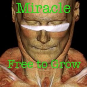 Download track Miracle Man Free To Grow