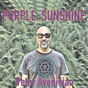 Download track Sunrise On The Inner World Peter Avedisian