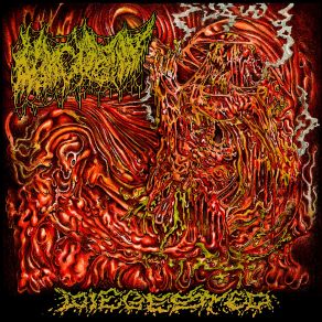 Download track Diegested Part 6 Morgue Tar