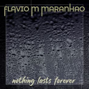 Download track Forever And Ever FLAVIO M MARANHAO