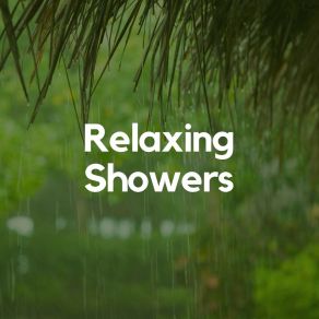 Download track Relaxing Rain Sounds 24H Rain Sounds