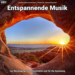 Download track Entspannende Musik Pt. 29 Entspannungsmusik