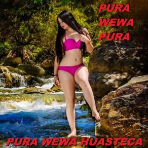 Download track La Mesa Que Mas Aplauda - Calixto Mendez Pura Wewa Pura