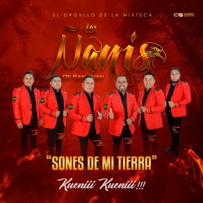 Download track Son De Mi Tierra Los Ñanis De San Juan