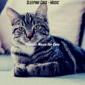 Download track Music - Tranquil Famous Music For Cats