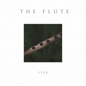 Download track The Flute (Original Mix) Siba