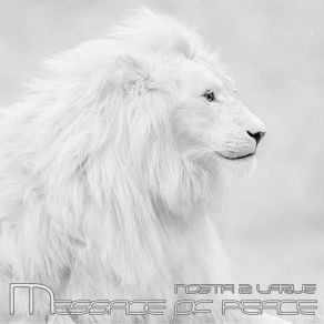 Download track Message Of Peace (Double Remix) DJ Nosta 2 Larue