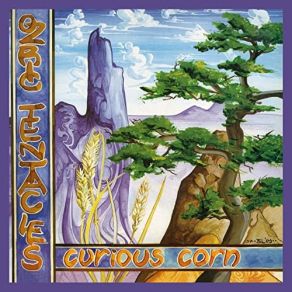 Download track Oolite Grove (2020 Ed Wynne Remaster) Ozric Tentacles