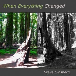 Download track All Is Love Steve Ginsberg