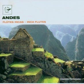 Download track Rio Abierto Ensemble Pachamama