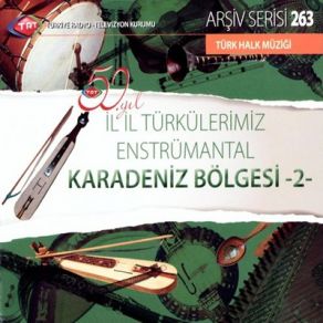 Download track Bahçesinde Kalemsin (Enst.) TRT Saz Sanatçıları