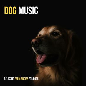 Download track Comfort Frequency For Dogs 221 Hz Dog Music