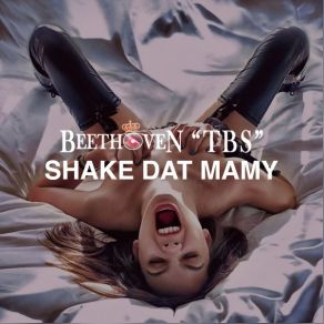 Download track Shake Dat Mamy (Radio Shake Cut) Beethoven 