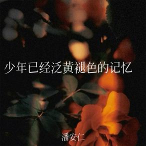 Download track 少年已经泛黄褪色的记忆 (伴奏) 潘安仁