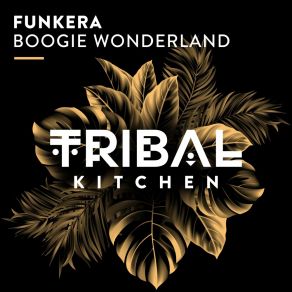 Download track Boogie Wonderland Funkera