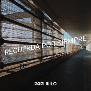 Download track Persiguiendo Un Sueno Papi Wilo