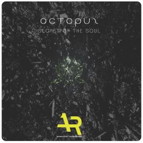 Download track Secret Of The Soul (Earthrumental Mix) Dj Octopuz