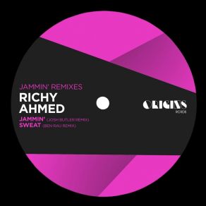 Download track Jammin' (Josh Butler Remix) Richy Ahmed