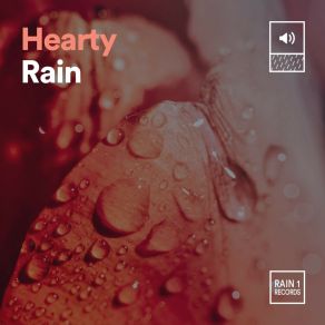Download track Light Rain Natsound