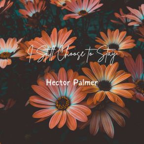 Download track Responsible Hector Palmer