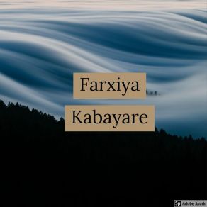 Download track Ciidanki Dalkaygoow Farxiya Kabayare