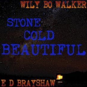 Download track Motel Blues Wily Bo Walker, E D Brayshaw